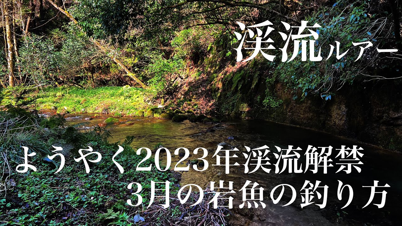 【渓流ルアー】2023年解禁ようやく行けました！