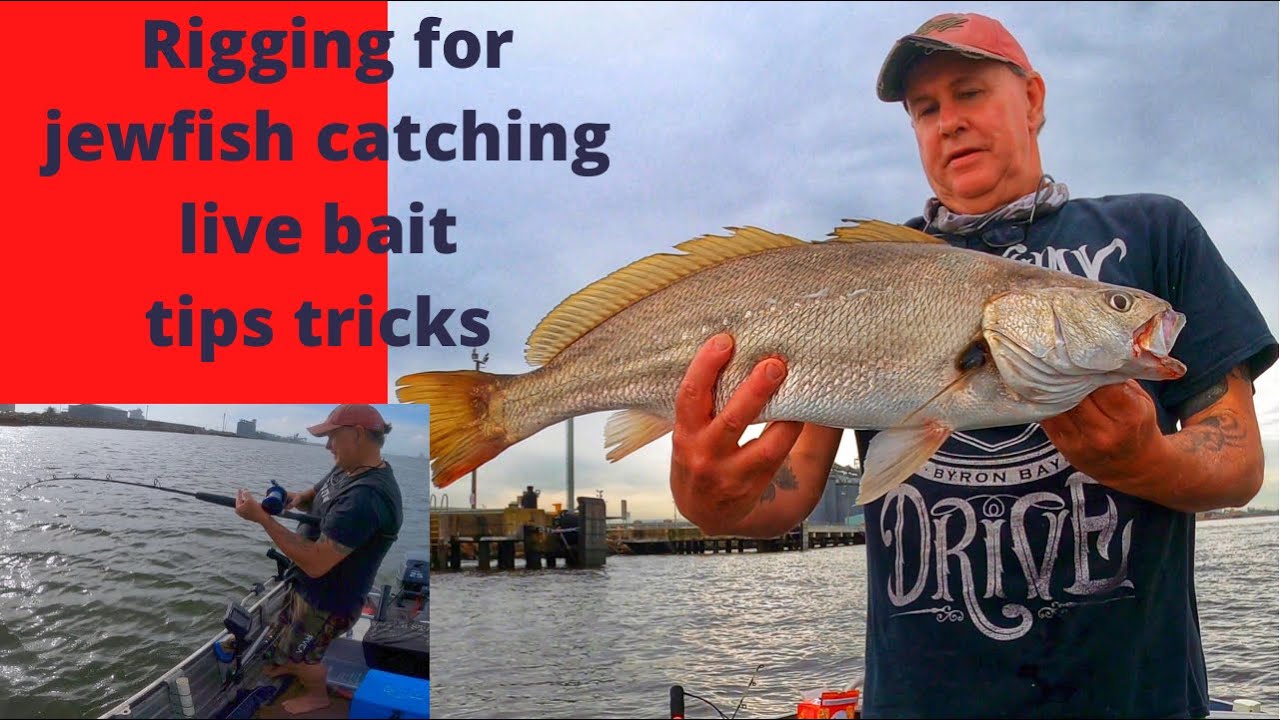 Rigging for Jewfish bait catching tips and tips on hunting for Jew