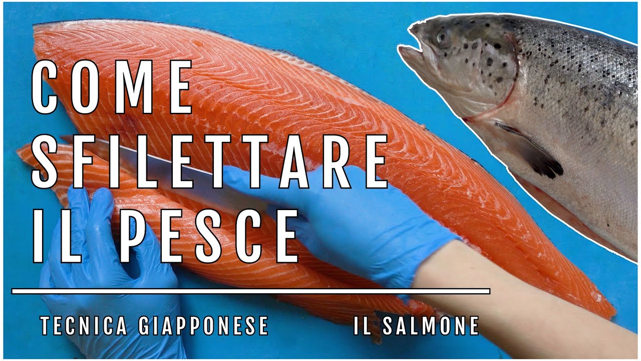 I SEGRETI PER SFILETTARE COME UN MAESTRO: Il SALMONE | Tecniche Base