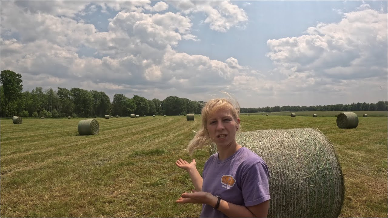 Making silage, ride along with me!…