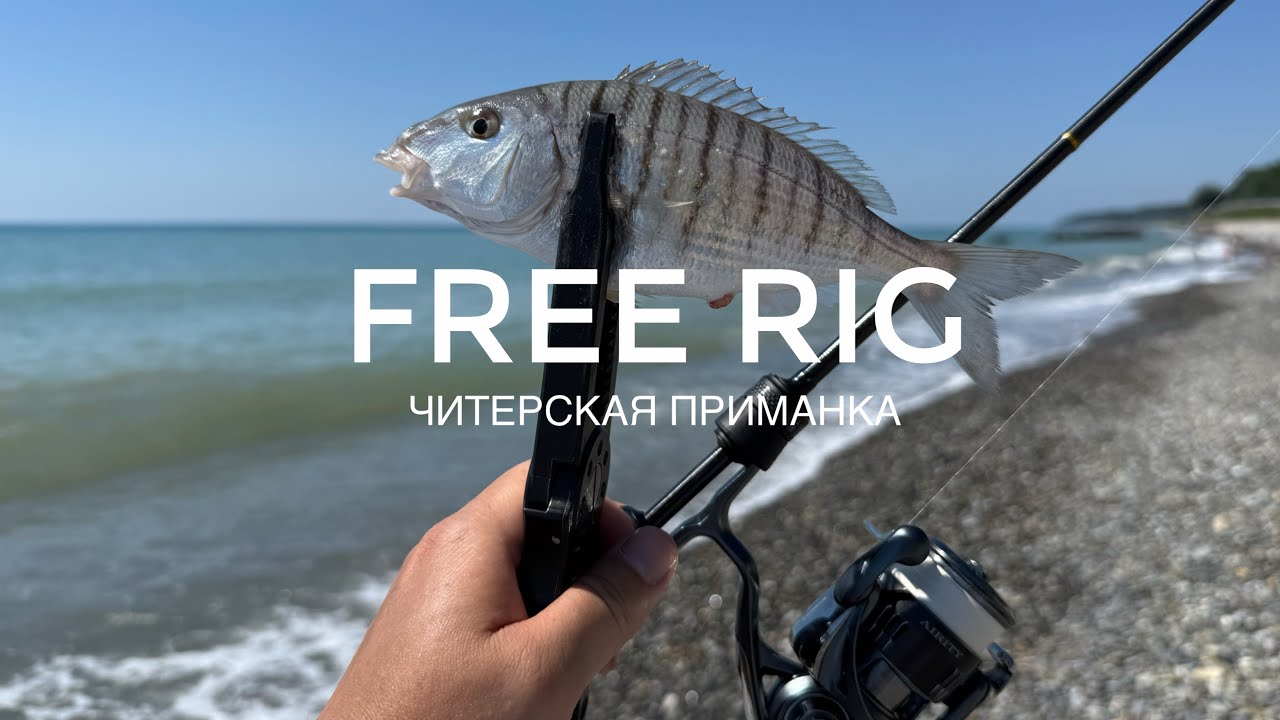 Оснастка Free Rig + читерская приманка! Рыбалка на Черном море с Tetra Works React 58.