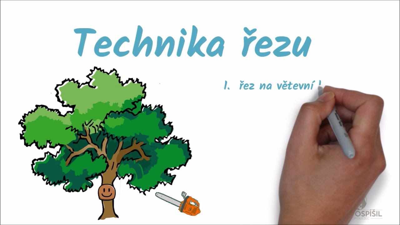 Technika řezu / Cutting technique