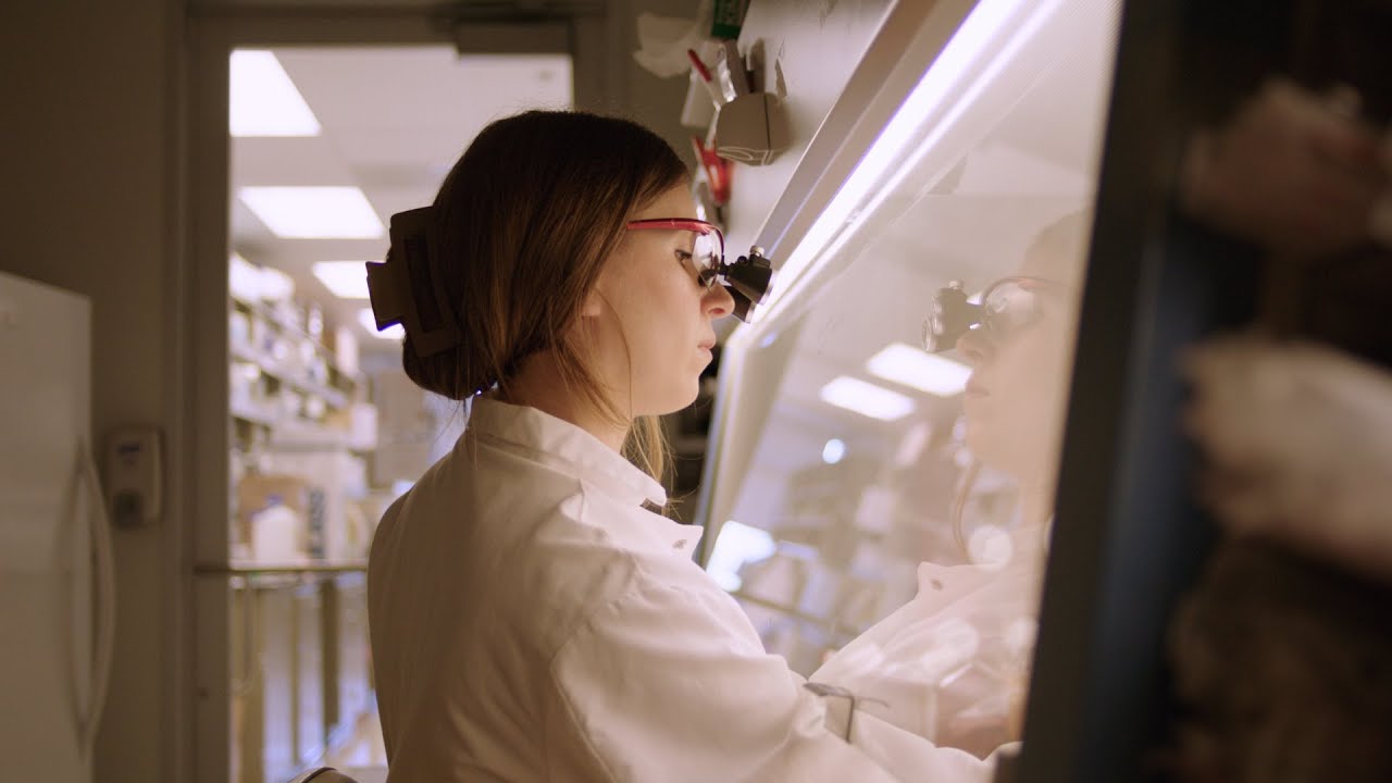 Up close and personal with LJI’s rising immunologists | 2026 SPARK Awards Finalists