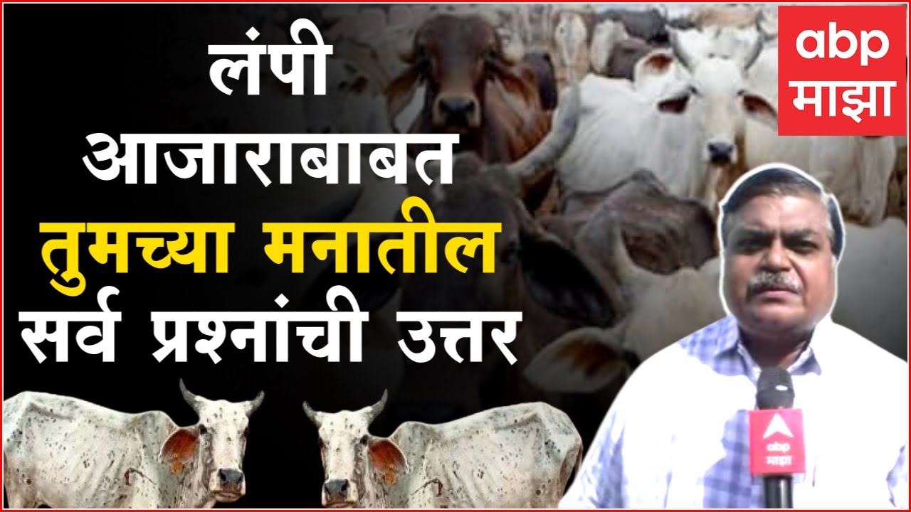 Lumpy skin disease virus : लंपी म्हणजे काय? कसा प्रसार होतो? लंपी आजाराबाबत A टू Z