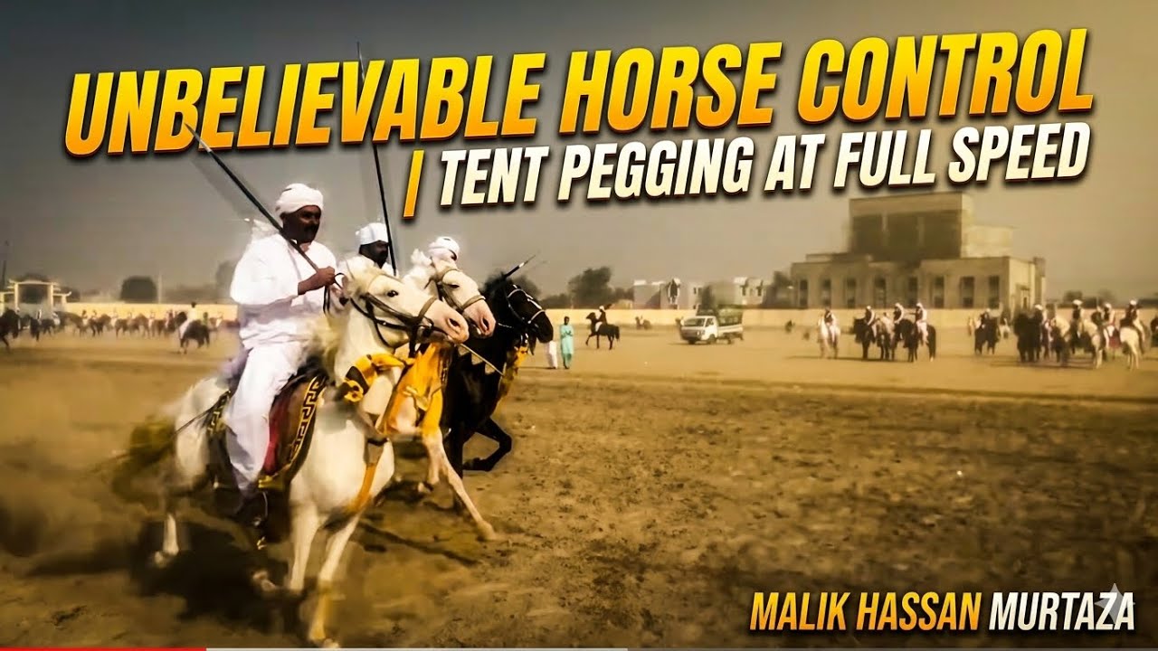 Tent pegging #horseriding #horse festival at bhakkar #animal world #viralvideo 