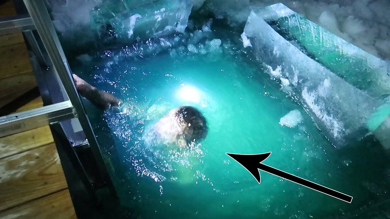 DIVING UNDER THE ICE!! Worst Challenge Ever!