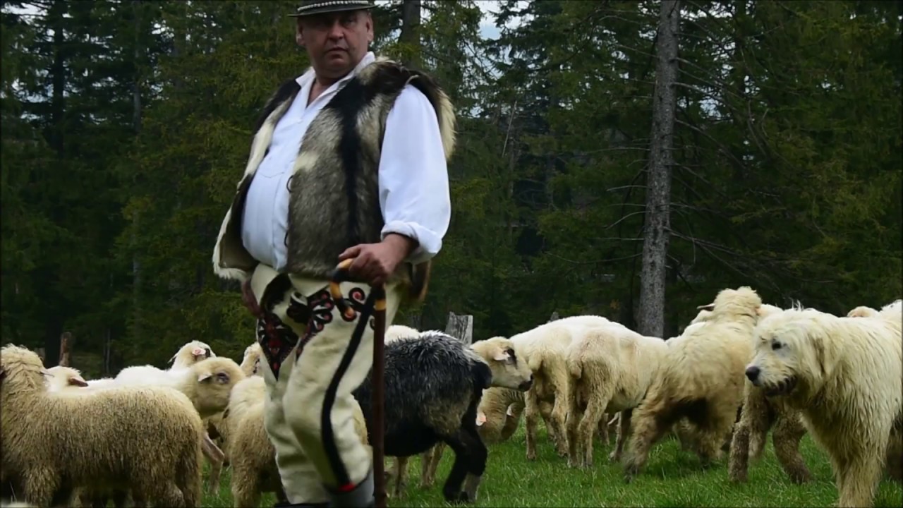 REDYK - AUTENTYCZNA MUZYKA GÓRALSKA - BACÓWKA - 
