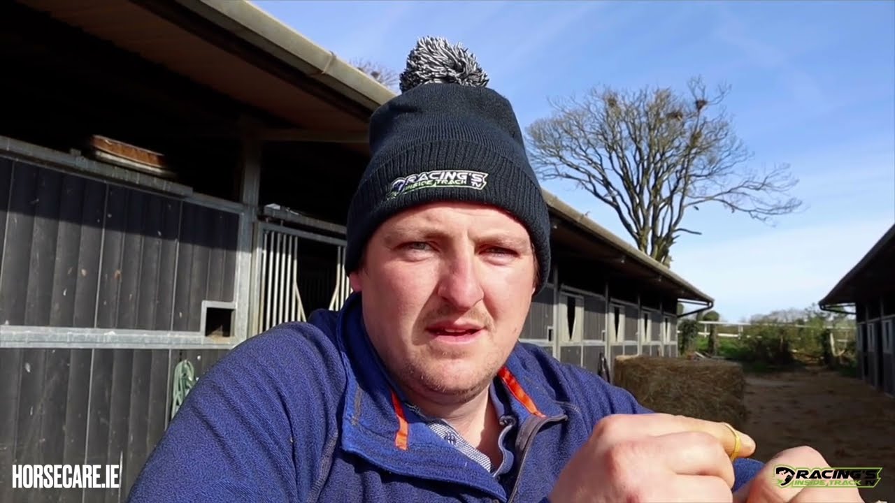 Remember the name… “Bigcitylights” whose handler, Cormac Doyle believes is the real deal