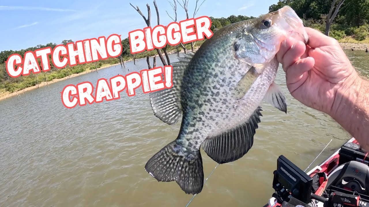 TARGETING BIGGER CRAPPIE