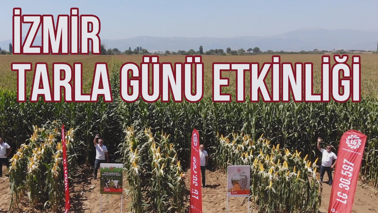 İzmir Tarla Günü Etkinliği (LG Tohum) - Tarım Aktüel #çiftçitv