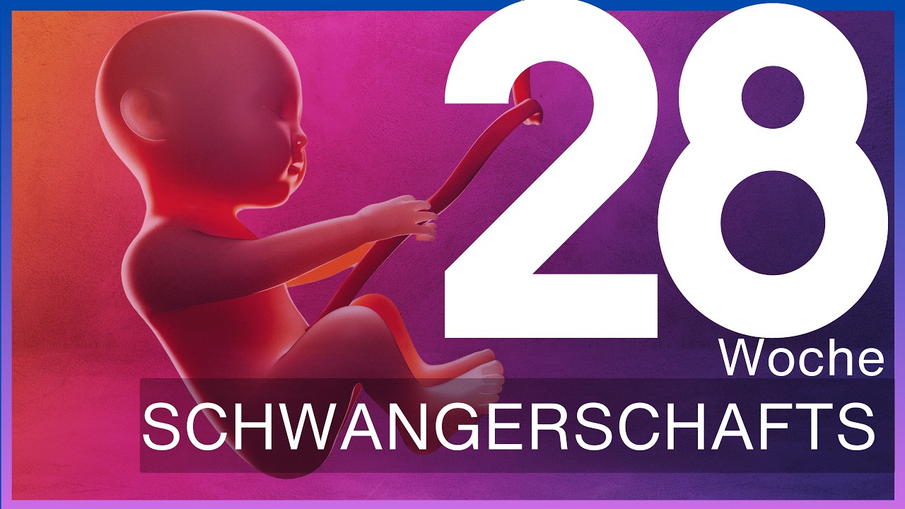 28. Schwangerschaftswoche: Was passiert im dritten Trimester | Update 28 SSW