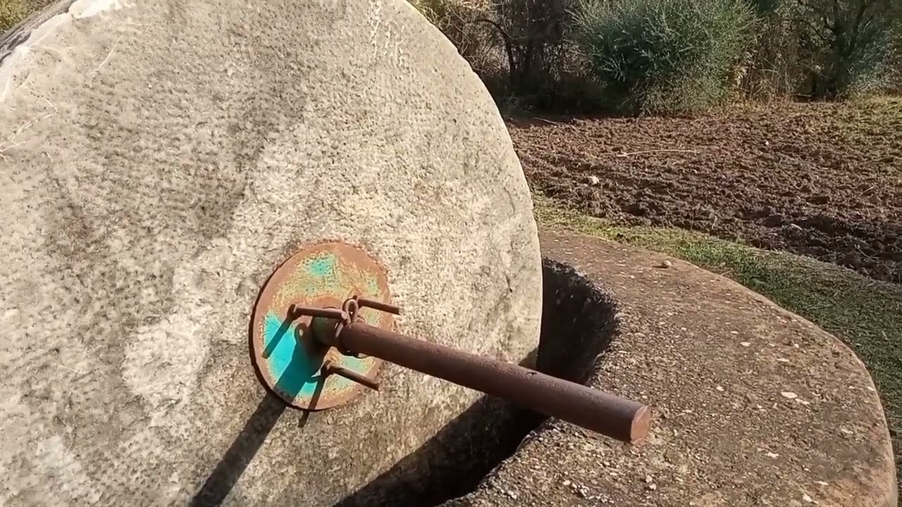 اجي تشوفني كنطحن زرع وزيتون فمكينة ❤️