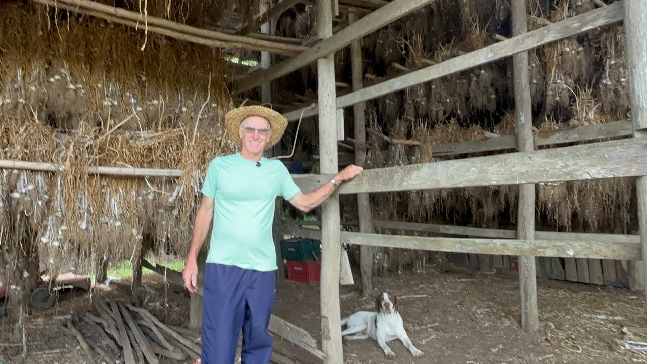 SEU CASAROTO 70 ANOS FELIZ DA VIDA NA ROÇA