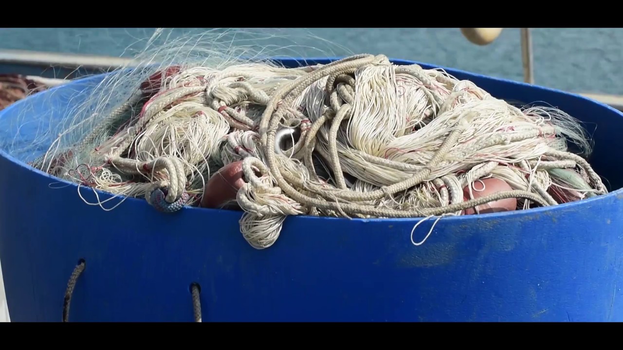 Porto di Arenzano 2017