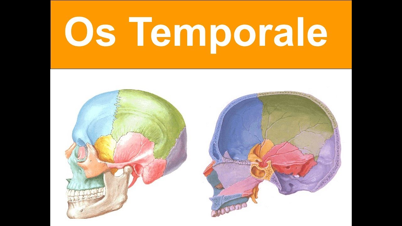 6. Os Temporale YAYDAR