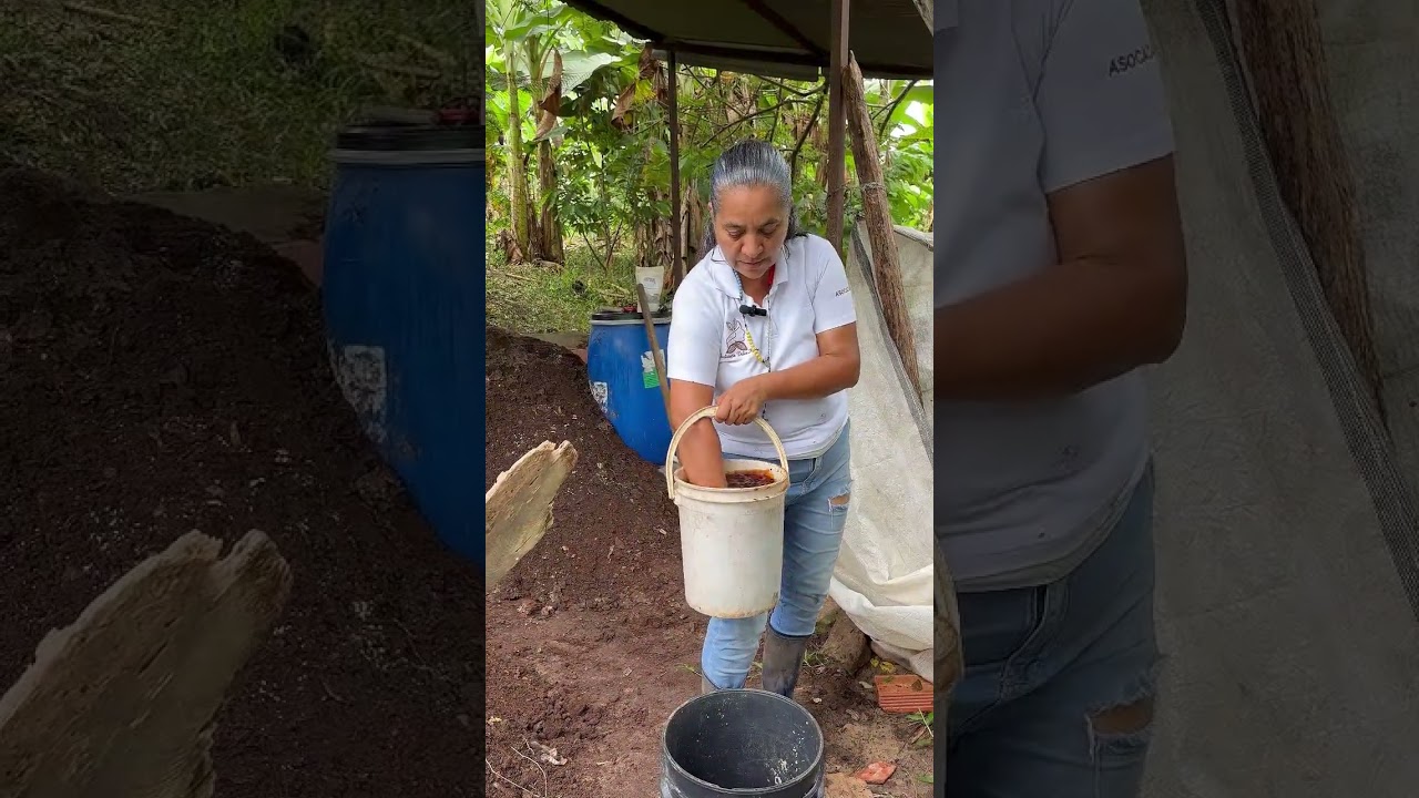 Proceso org&aacute;nico de una finca.
