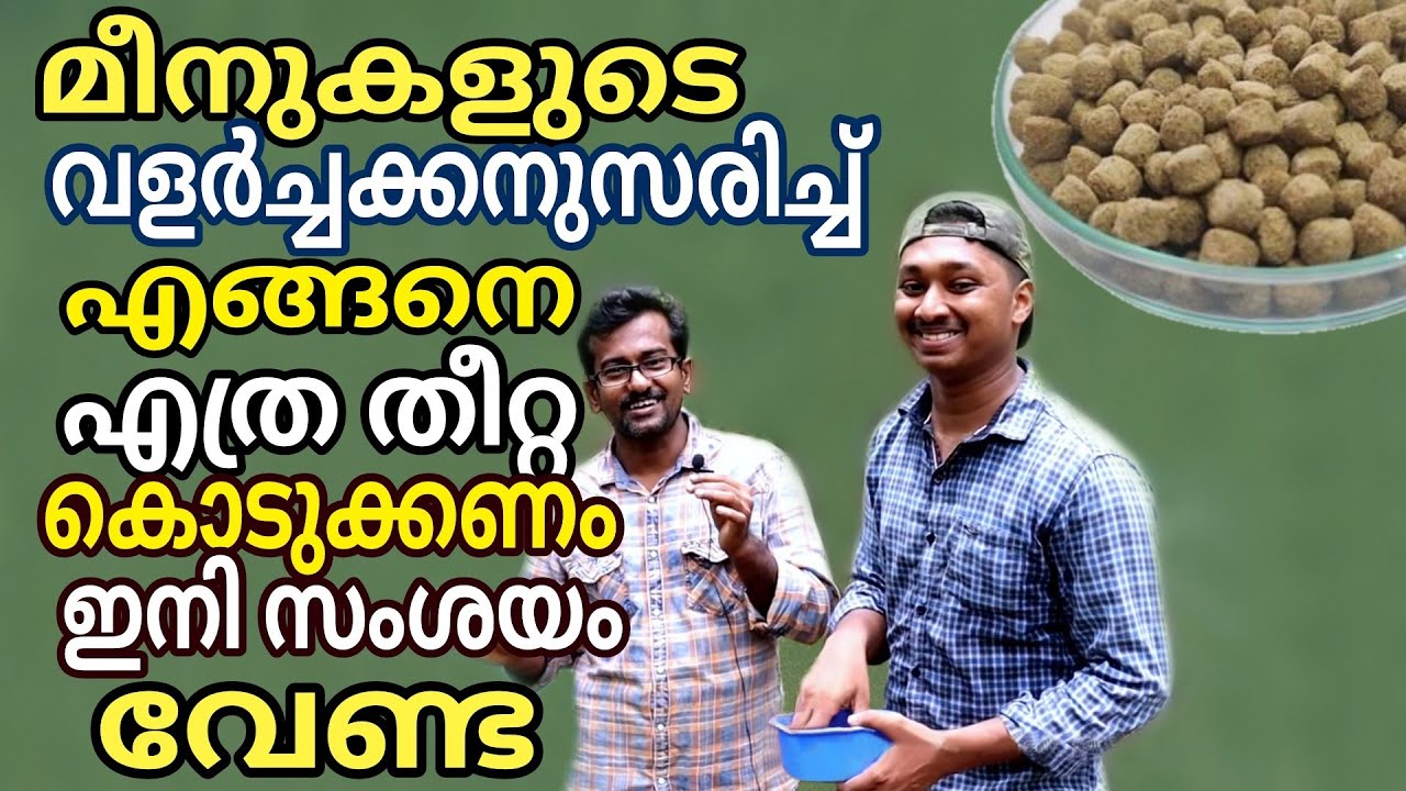 മീനുകൾക്ക് തീറ്റ നൽകുന്നതിൽ ഇനി സംശയം വേണ്ട വീഡിയോ കാണൂ | How to feeding | fish farming business