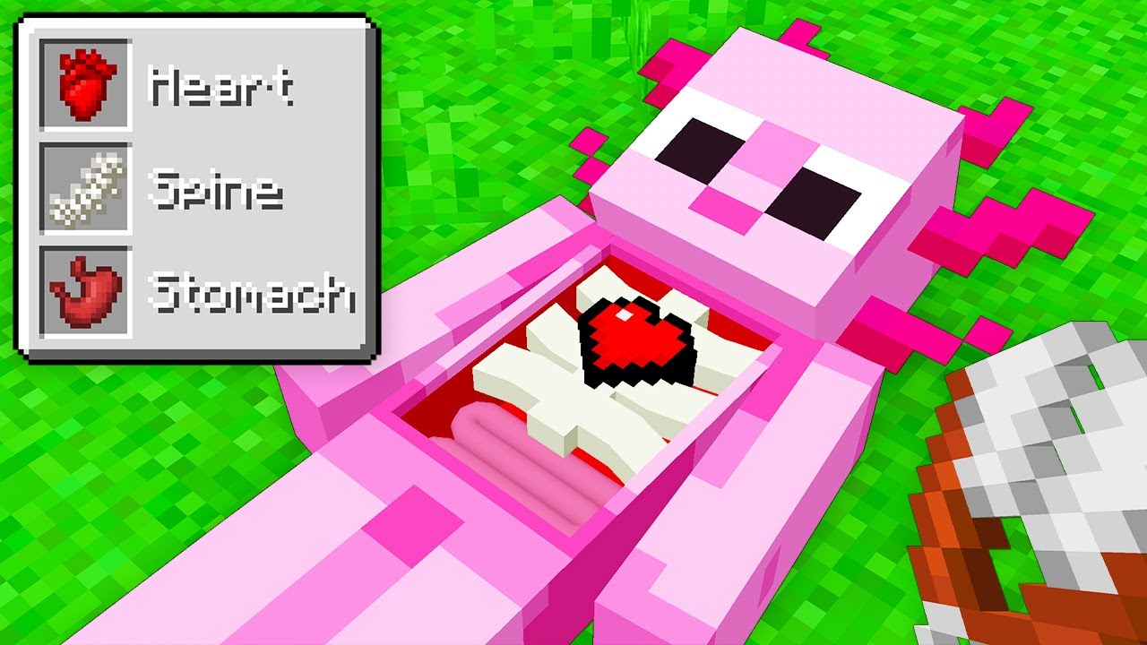 I Fooled My Friend By Stealing BONES in Minecraft…