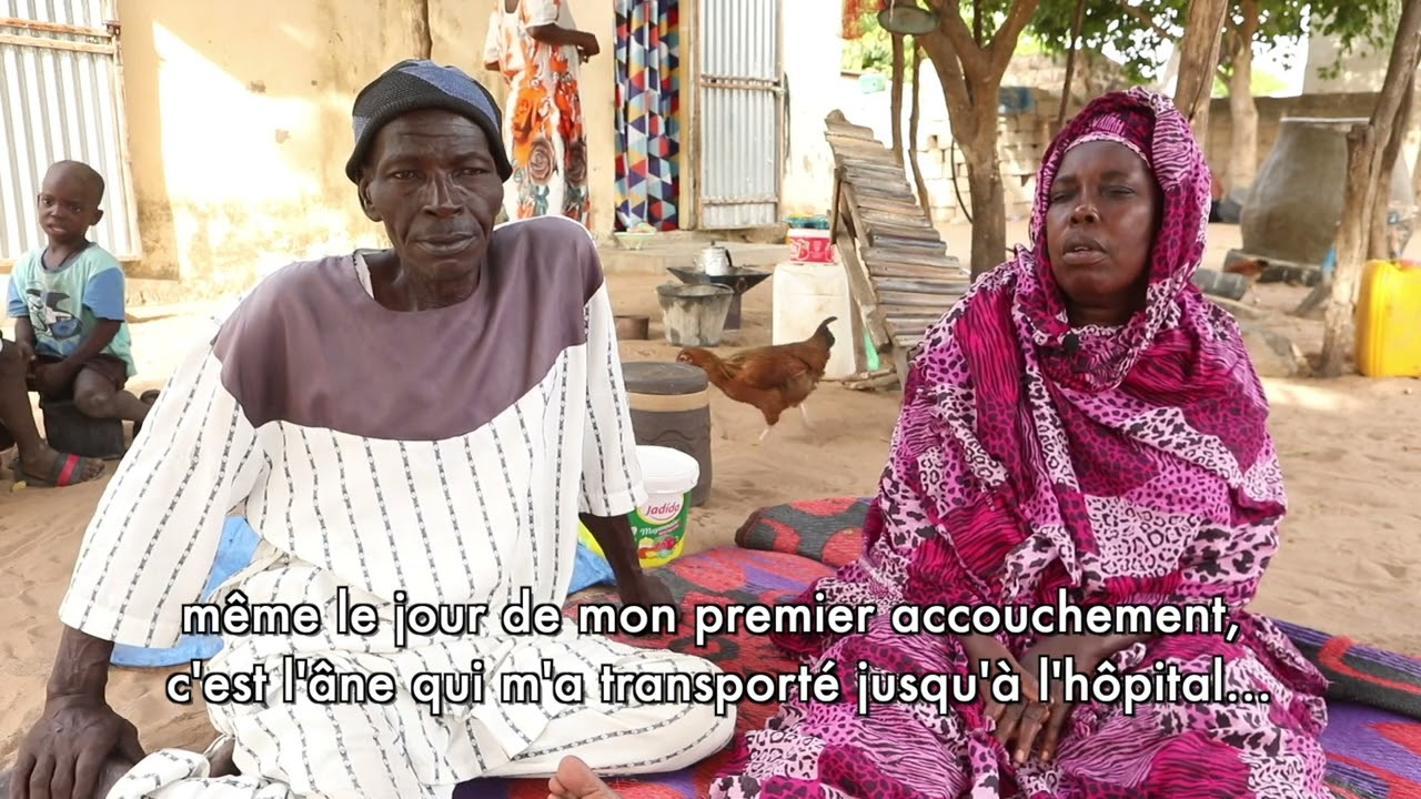 LE MONDE DES ÉQUIDÉS