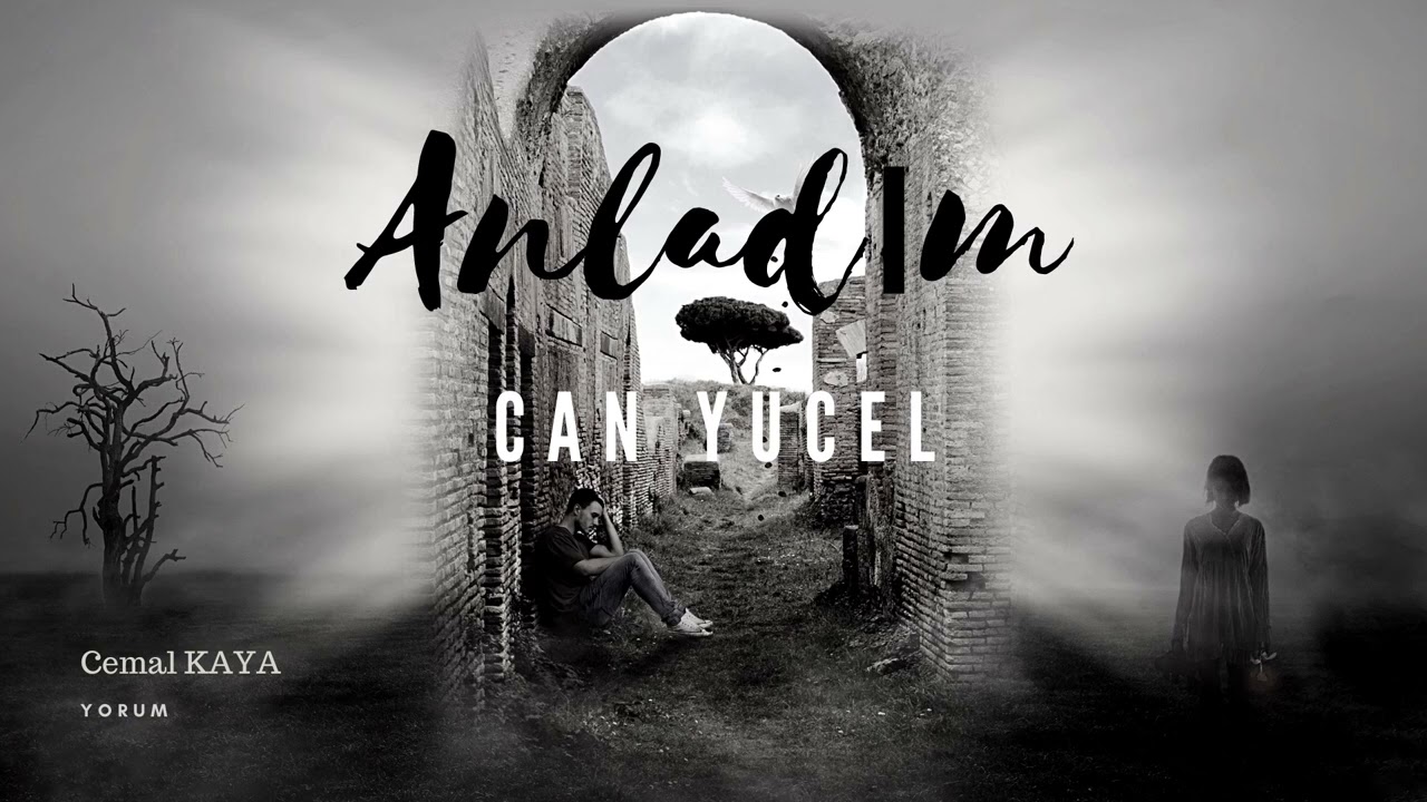 Can Yücel | Anladım (Şiir)