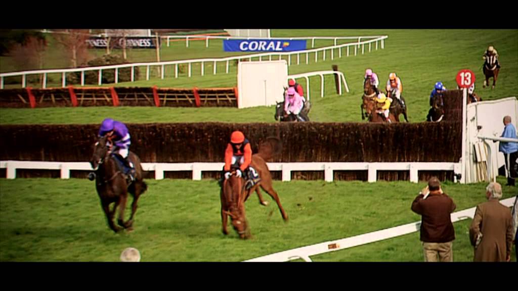 Denman: Legend Of National Hunt