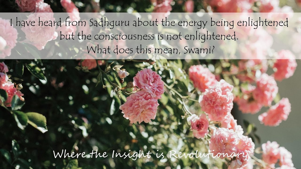 What Does It Mean That Energy Is Enlightened  But Consciousness Is Not Enlightened?