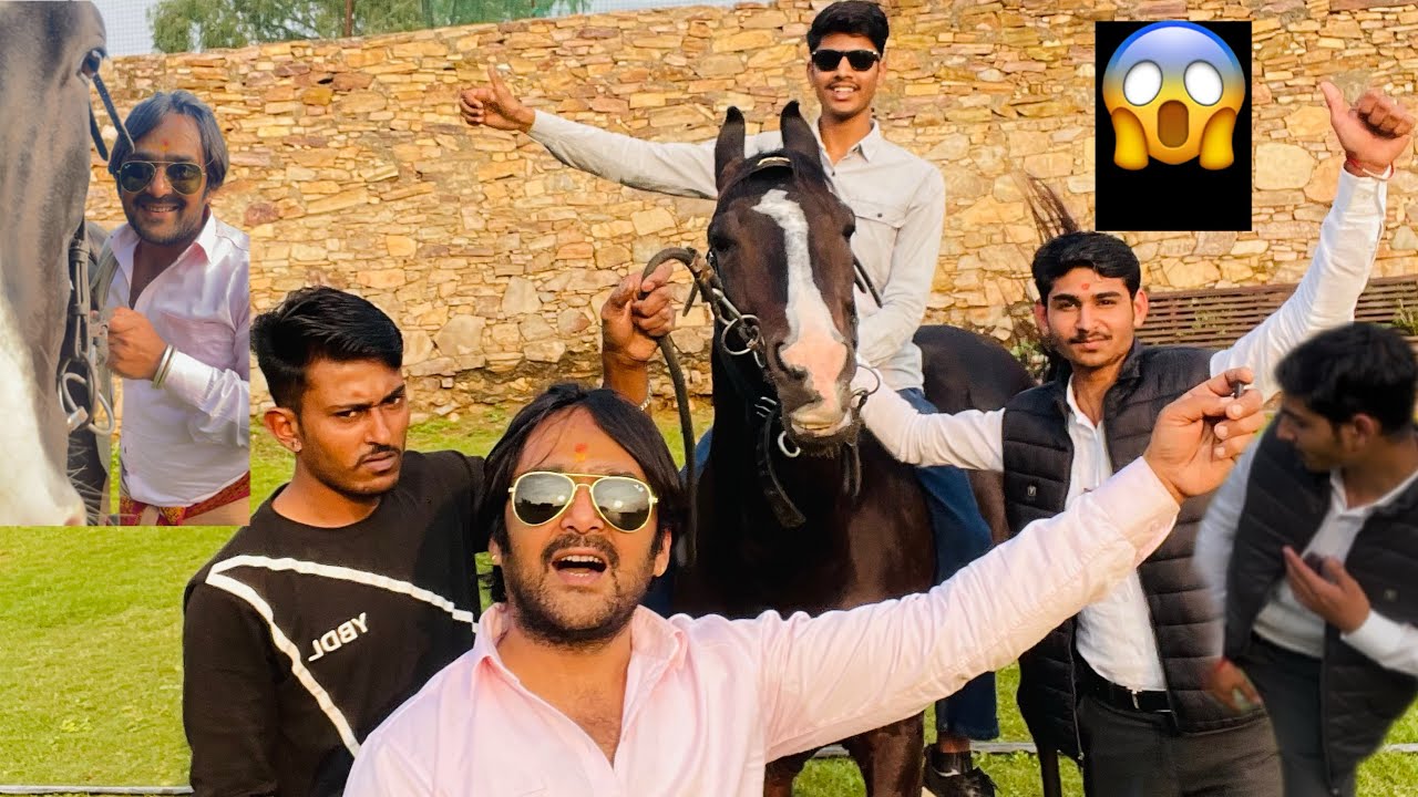 किस  हाइट  का  घोड़ा  हो ना  चाहिये  😍🐎 आज पता चल जाएगा 😱