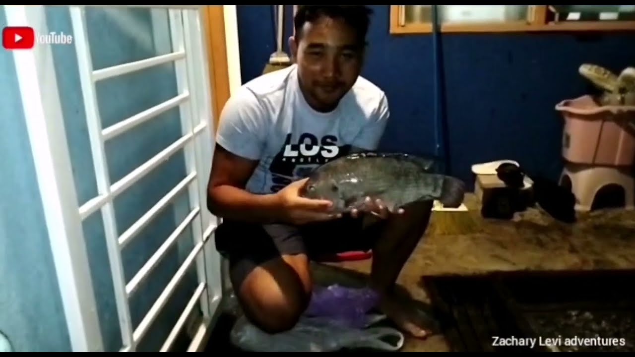 MENCARI UDANG GALAH DAN IKAN DI MALAM HARI
