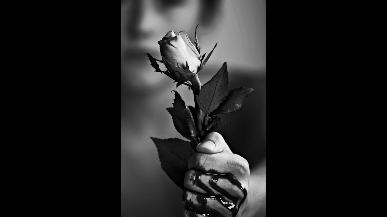 Tarot: când va veni sau reveni in viața mea?