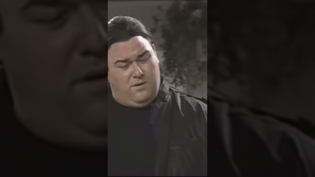 Steven Seagal vs Will Sasso MadTV sketch. #viral #fyp #madtv #stevenseagal #karate #kungfu #lol