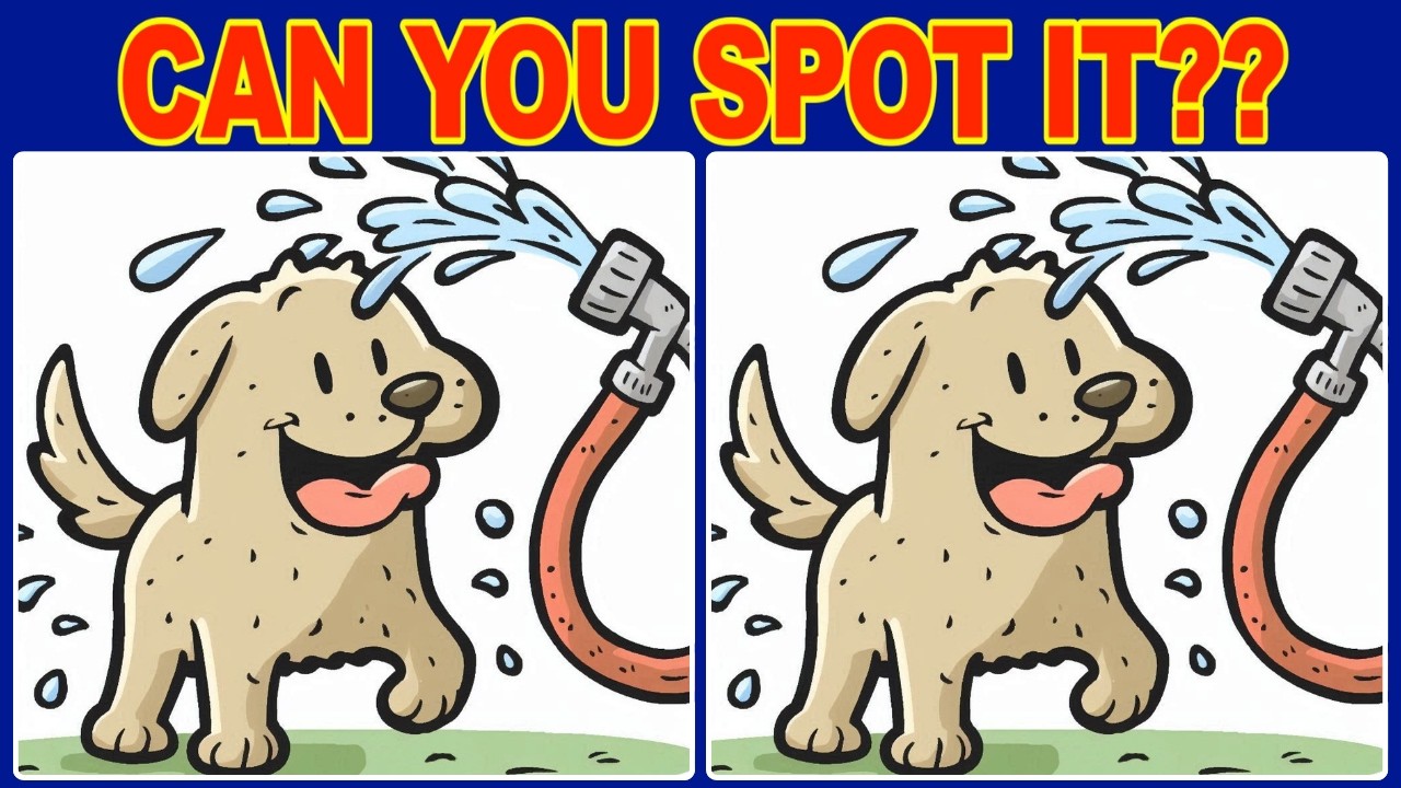 【Find the Difference】💪 Mental Muscle Builder: 3 Spots, 90 Seconds