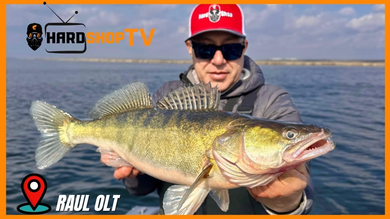 Pe urmele salaului 2024-2025 ! Pescuit Pe Olt🎣 HardShop