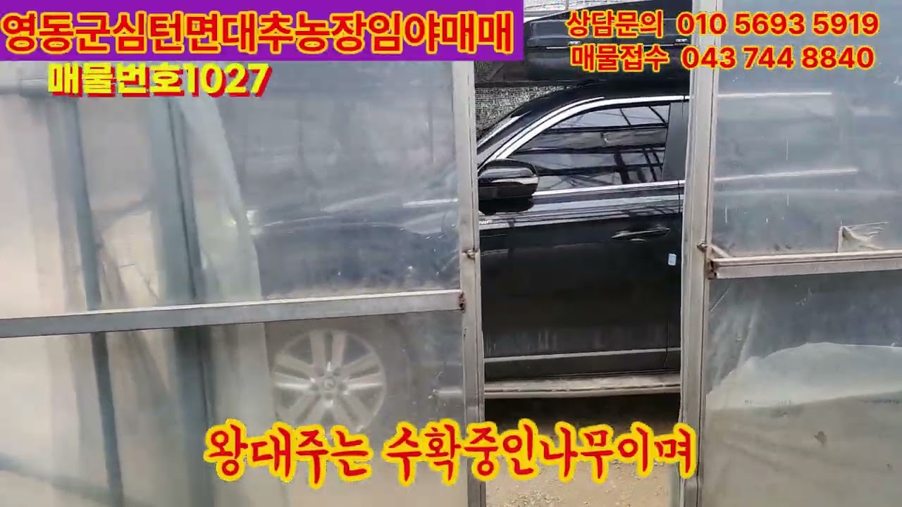영동군전원주택매매, 영동군토지매매,영동군임야매매,영동군단독주택매매,영동군시골집매매,보은토지매매,옥천토지매매,급매물