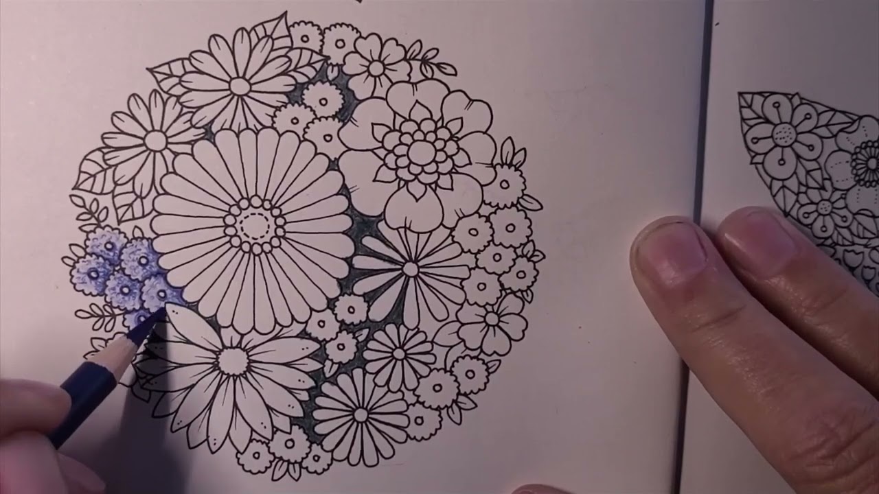 Ep.123 Daily Color In Johanna Basford's Small Victories Using Star-Joy Gold - Circles Of Flowers