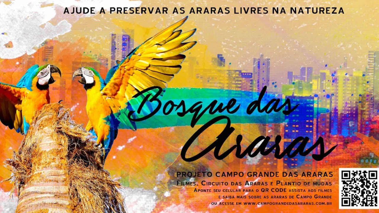 Lançamento do projeto “Campo Grande das Araras”