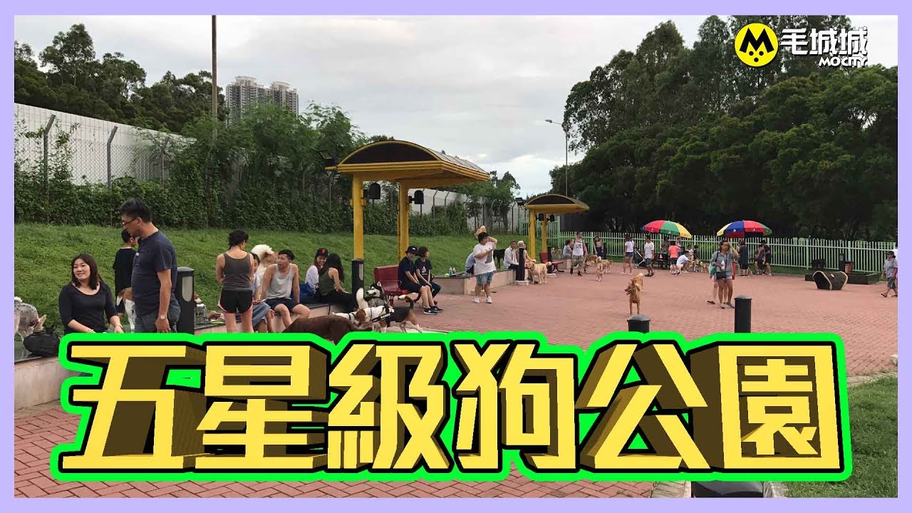 【十八區狗公園】將軍澳環保大道寵物公園
