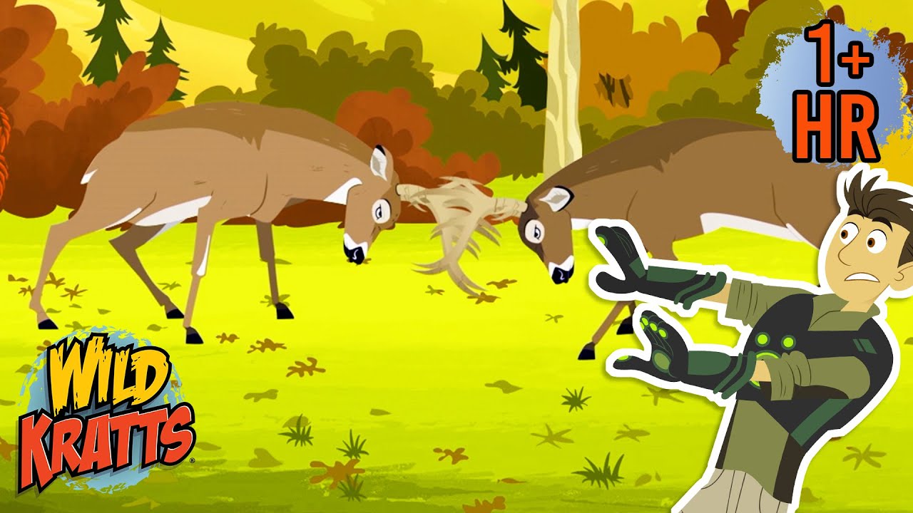 A Deer Showdown | Creature Combat | Animals for Kids | Wild Kratts