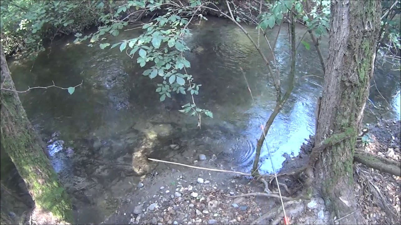 La NANO pesca (TOP WATER)