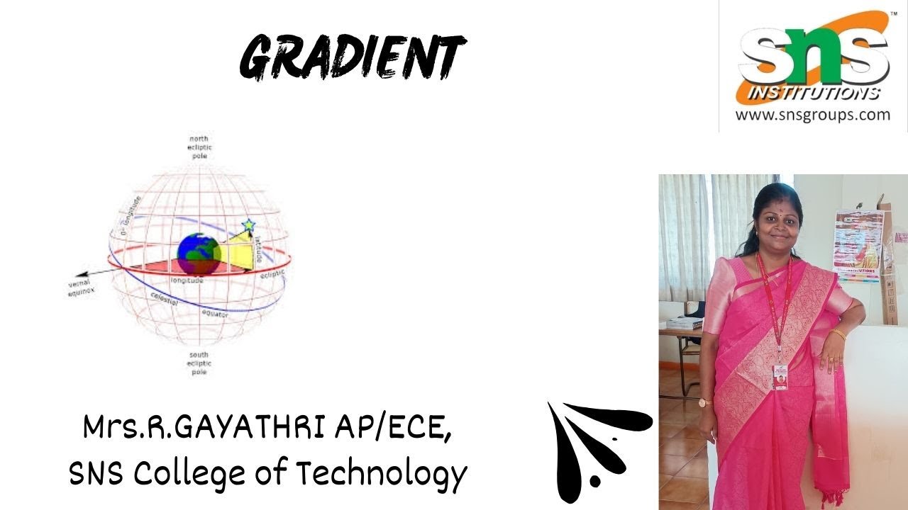 GRADIENT | EMF | SNS INSTITUTIONS