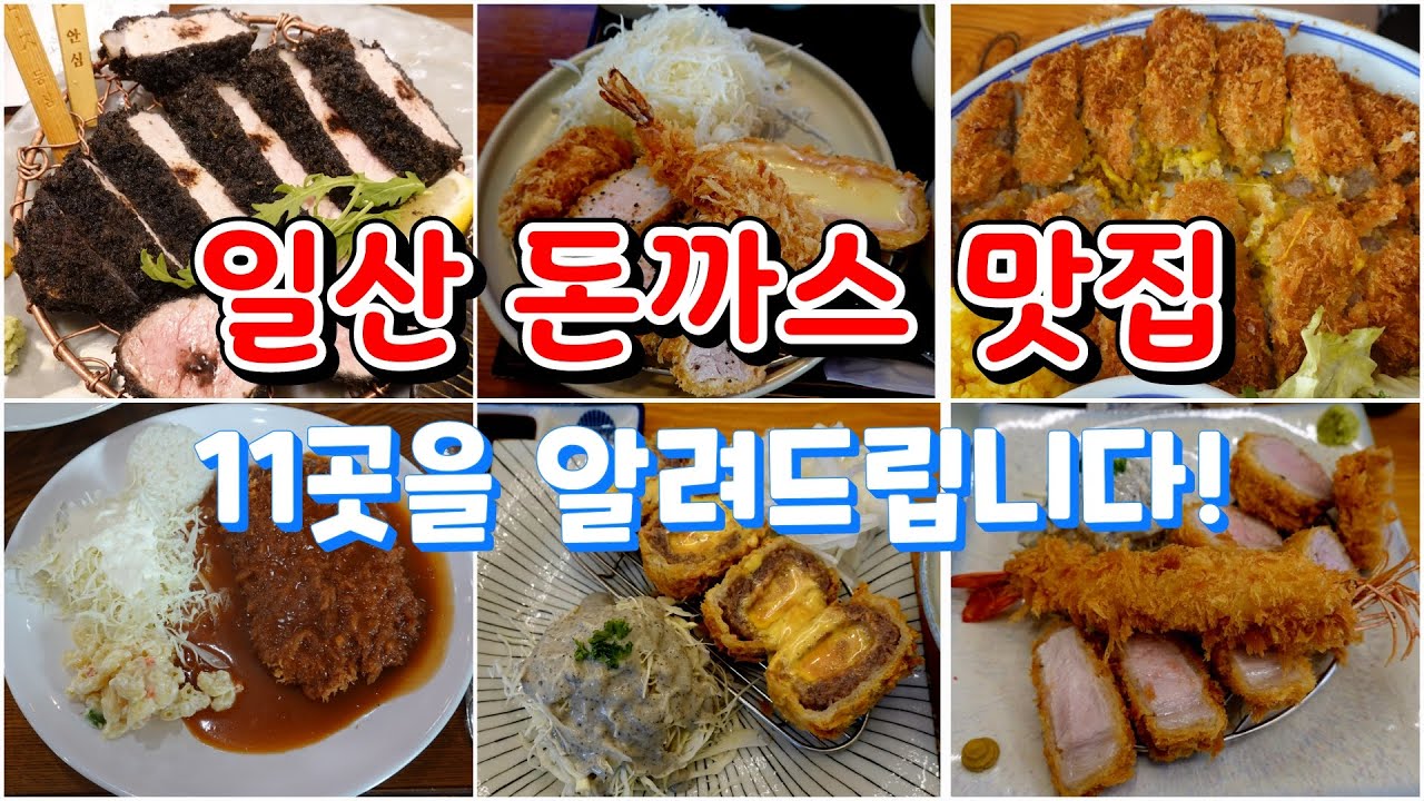 일산 돈까스 맛집들 가지고 왔습니다! Tonkatsu restaurant, Korean restaurant #일산맛집 #돈까스맛집 #고양시맛집 #노포맛집 #돈까스