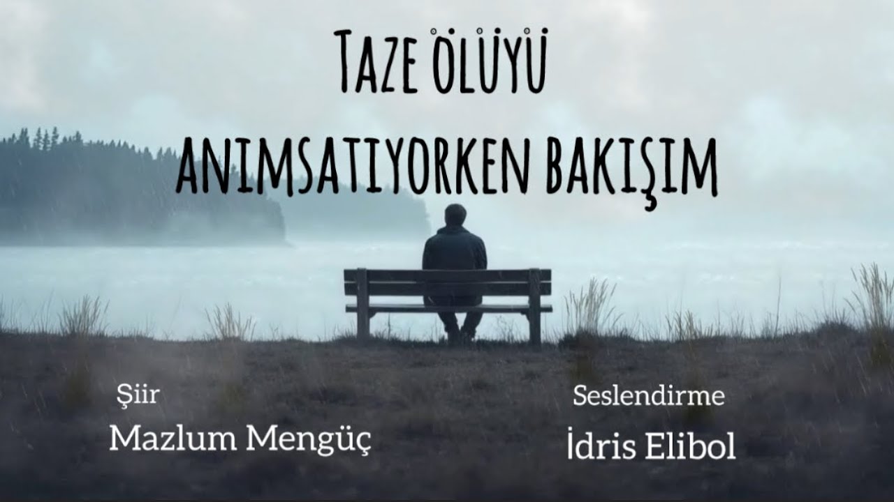 Taze ölüyü anımsatıyorken bakışım | Mazlum Mengüç | 