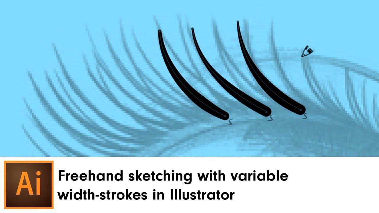 Freehand sketching with variable width-strokes in Illustrator | DynamicSketch