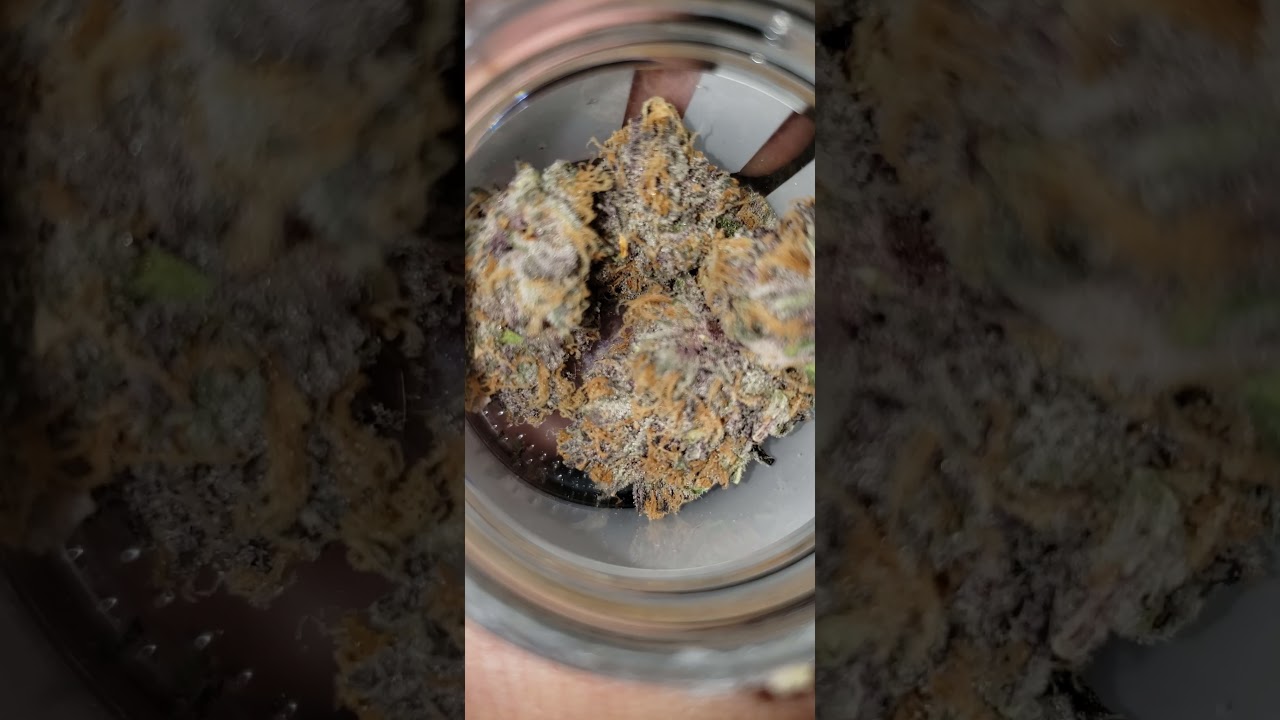CHILE VERDE STRAIN #whatsinyourbag? #MAINEgas