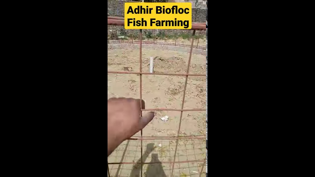 Biofloc l Adhir Biofloc Fish Farming l Biofloc Fish Farming in Gorakhapur l Iron Mesh l #Short
