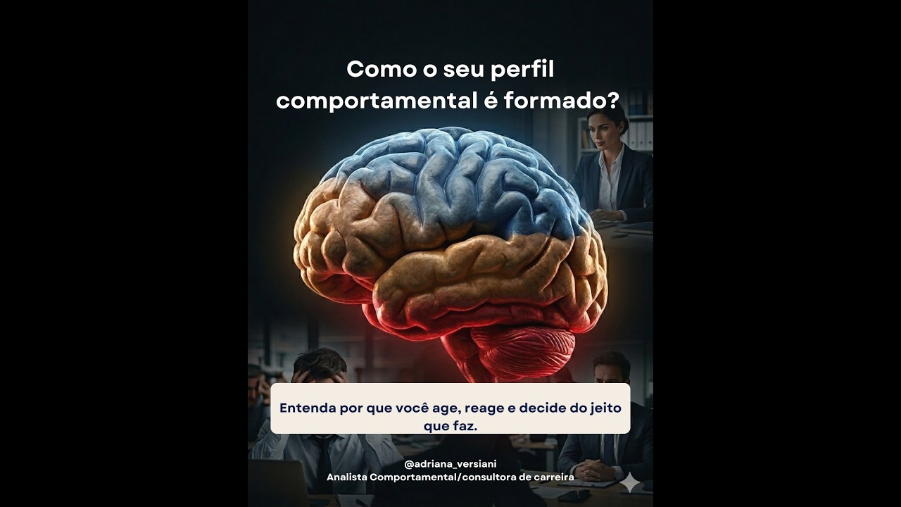 Como é formado o seu perfil comportamental