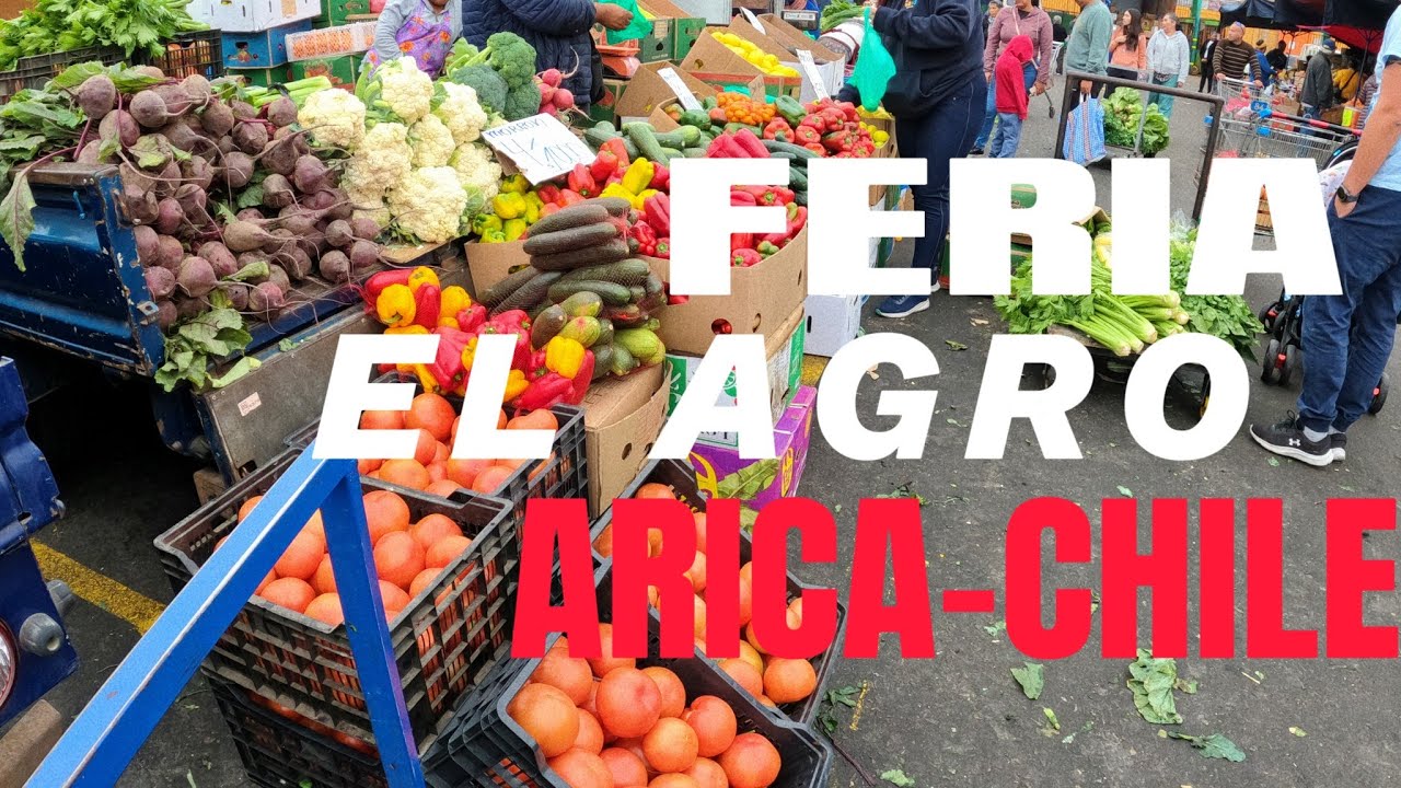FERIA EL AGRO ARICA CHILE