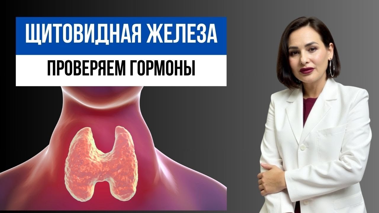 Гормоны ЩИТОВИДНОЙ железы: нормы анализа, что надо знать?