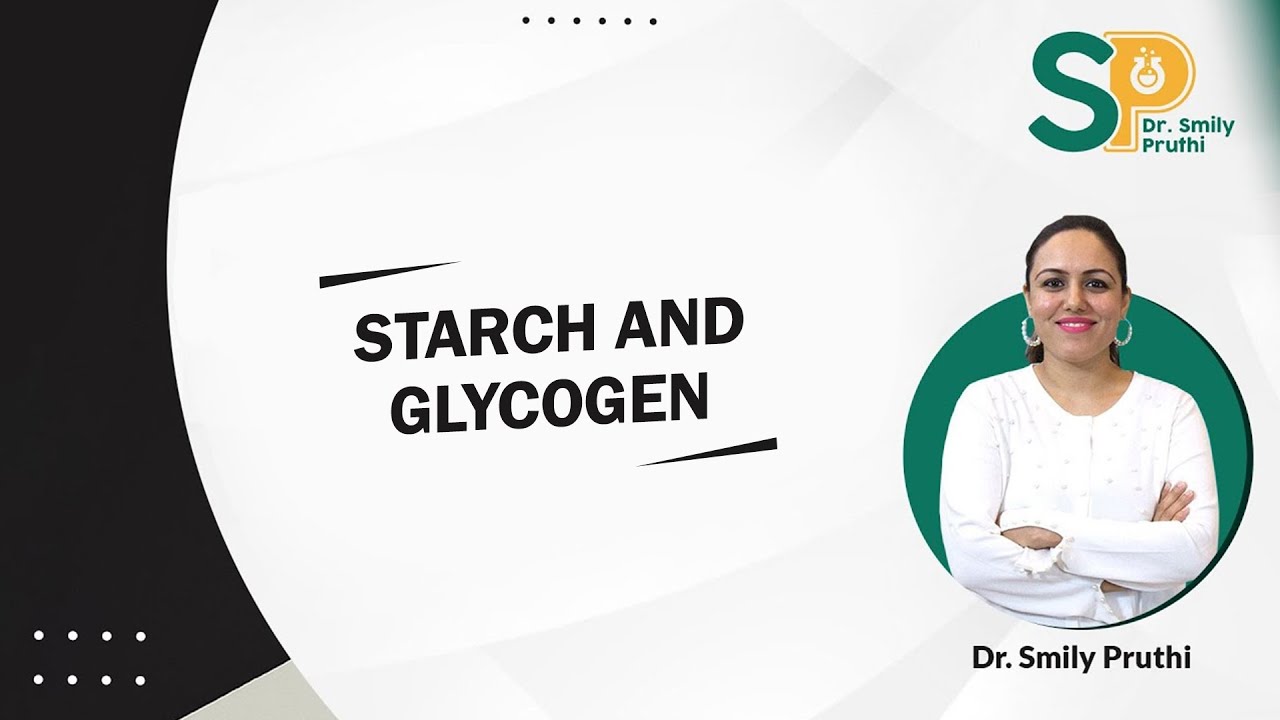 Starch and Glycogen