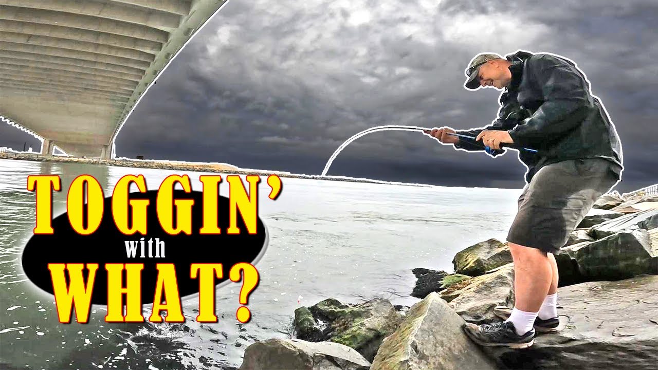 Tautog Fishing Indian River Inlet