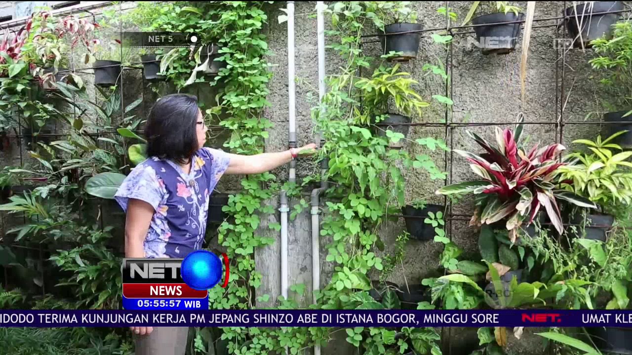 Rumah Bertema Ramah Lingkungan - NET 5